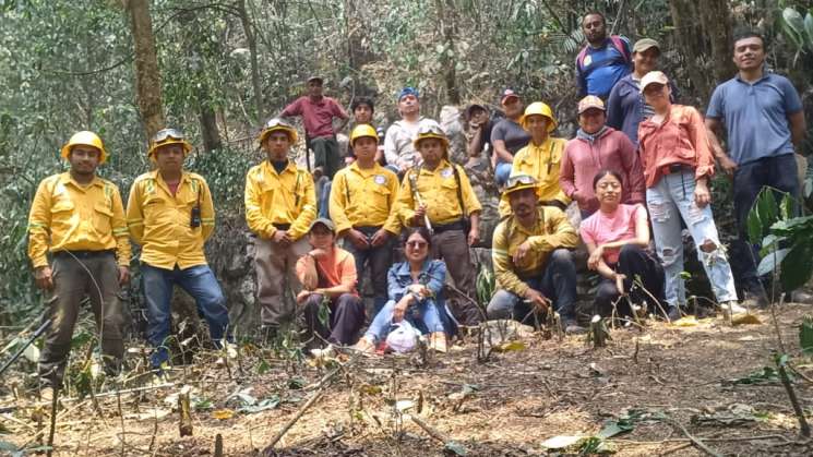 Sofocan incendios forestales en la Sierra de Flores Magón  