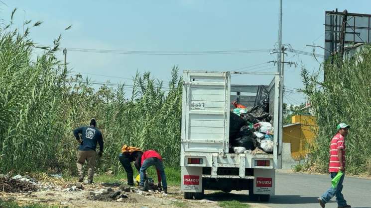 Invitan a reforestar ribera del Río Salado en capital oaxaqueña