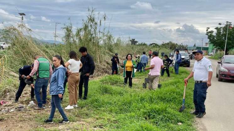Con tequio plantan 200 pochotes en ribera del Río Salado