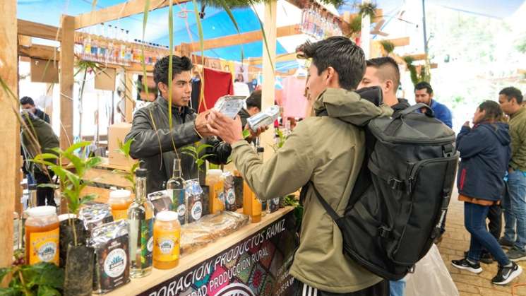 Festival Cultural del Hongo reactiva afluencia turística