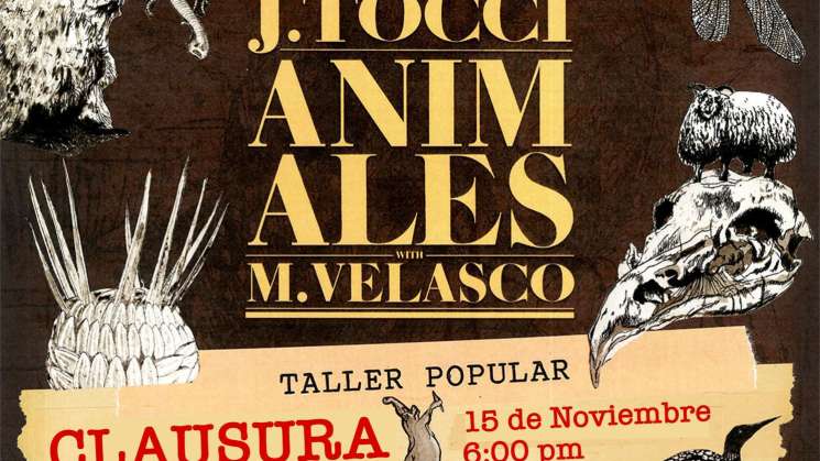  Explora Jeff Tocci la historia natural  