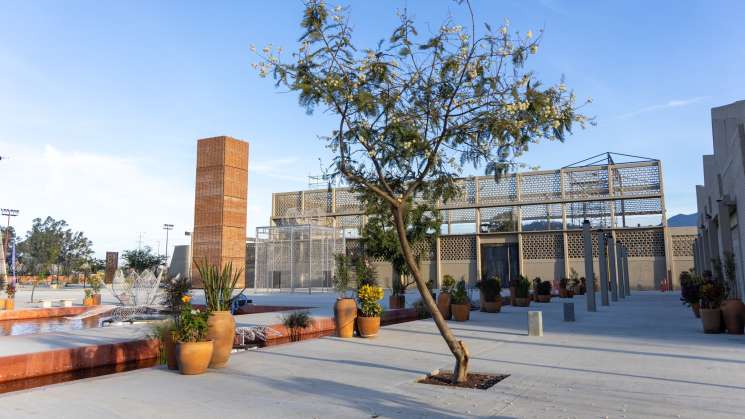 El miércoles inicia Festival Navideño de la Primavera Oaxaqueña 