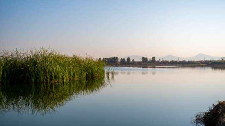 Lago de Texcoco, primer Sitio Demostrativo de Ecohidrología 