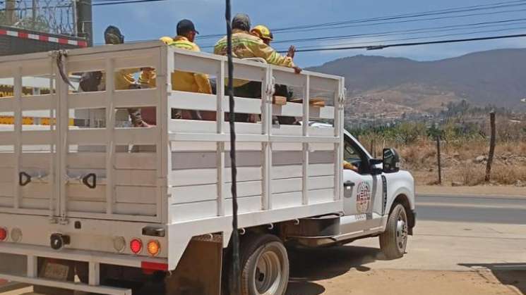 Atiende Coesfo incendio forestal en San Felipe del Agua  