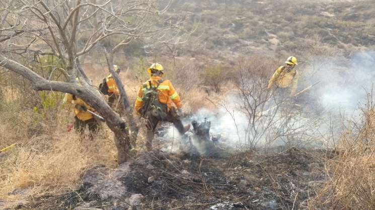 Sofoca Coesfo incendio forestal en Santo Tomás Jalieza  