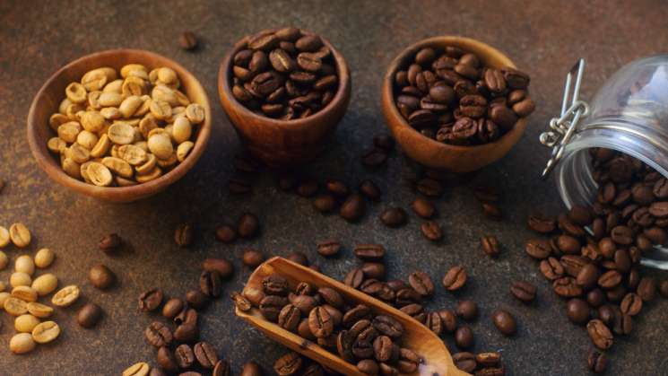 Senado pide a SADER informe sobre pago justo a caficultores