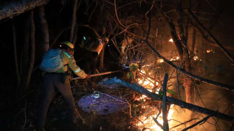 Controla Coesfo incendio forestal en San Pedro Pochutla  