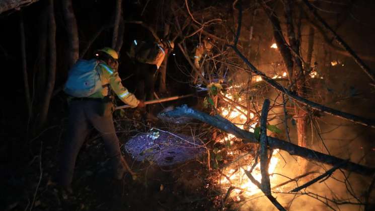 Combaten incendio forestal en San Pedro Pochutla y Sola de Vega
