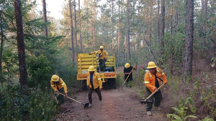 Reporta Coesfo control  de incendio forestal en San Juan Cotzocón