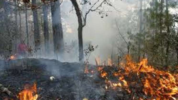 Atiende Coesfo 11 incendios activos en la entidad  