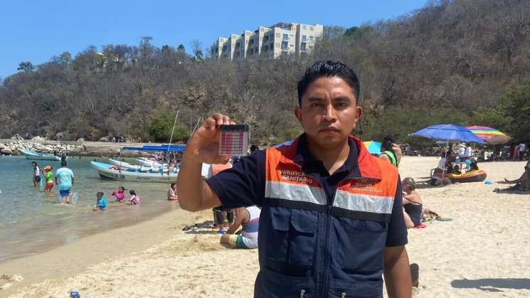 Playas de Oaxaca, limpias y listas para recibir vacacionistas:SSO