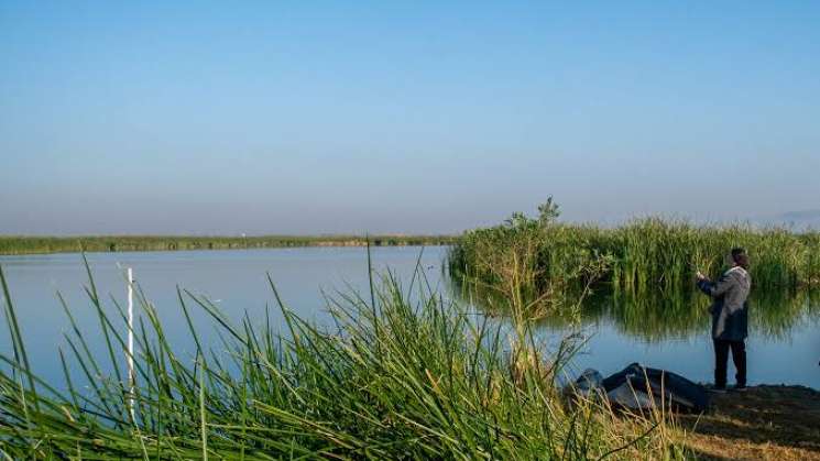 ONU: Lago de Texcoco, primer Sitio Demostrativo de Ecohidrología 