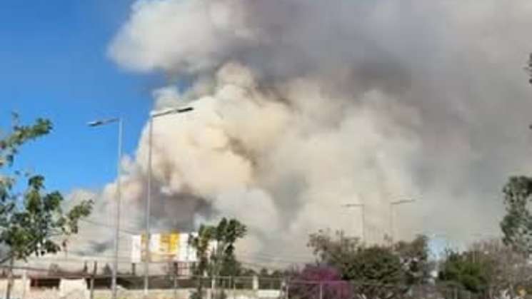 Atienden reporte de incendio en Santo Domingo Tomaltepec   