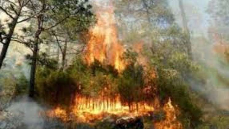 Fallecen dos personas en incendio de Manzanito,Sta.Maria Peñoles 