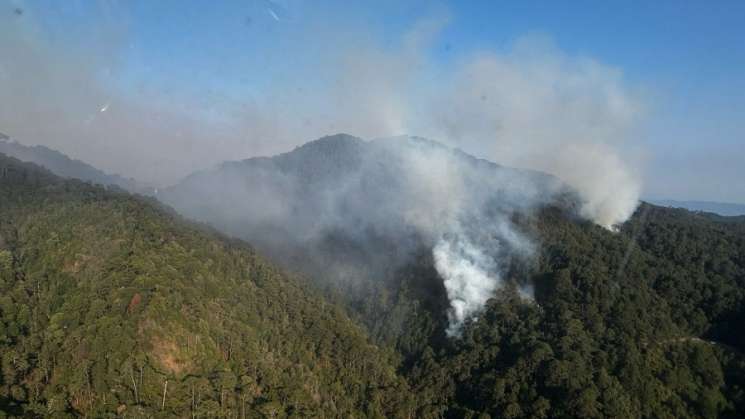 Atiende Coesfo incendios en la Cuenca del Papaloapan y Costa  