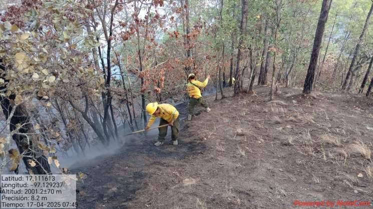 Reporta Coesfo control de incendio forestal en San Juan Tamazola 