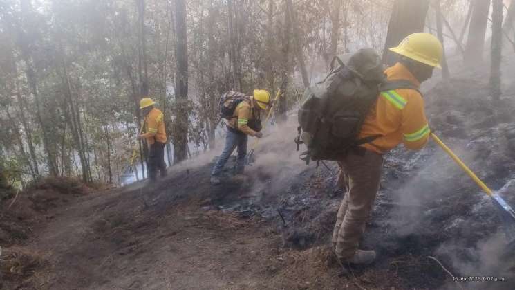 Controlan al 95% incendio forestal en Santa Catarina Juquila    