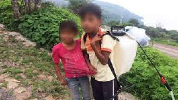 En Jalisco,nuevo herbicida en orina de 500 niños causa daño renal