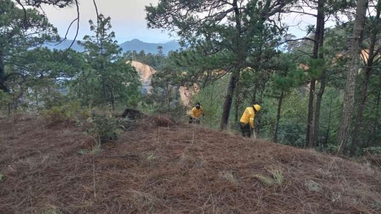  50% controlado incendio en San Sebastián Coatlan: COESFO 