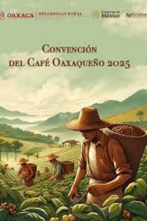 Oaxaca será sede de la Convención del Café 2025