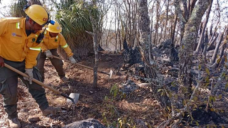 Reporta Coesfo 90% controlado incendio en Santa Cruz Xitla