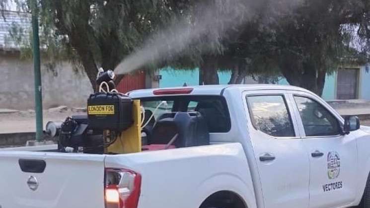 Por lluvias, exhorta SSO a evitar acumular agua contra mosquito 