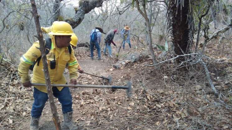 Controla Coesfo incendio forestal intermunicipal en la Sierra Sur