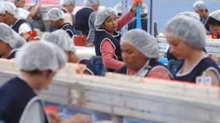 UIF va contra empresas fechada de industria manufacturera 