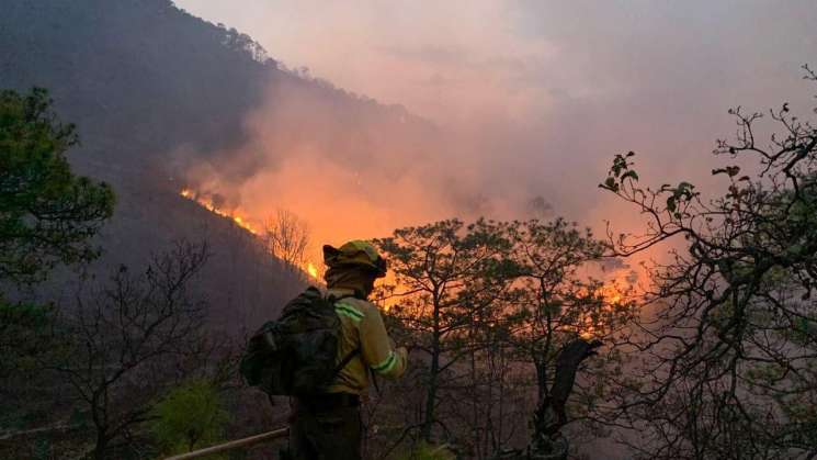 Atiende Coesfo incendio forestal en límites de Santiago Minas 
