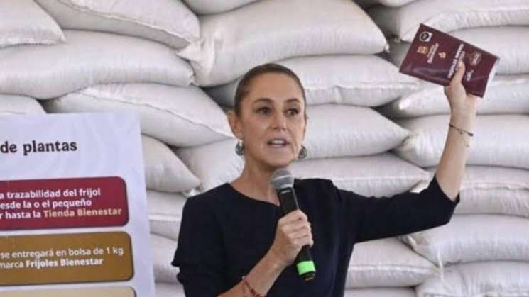 Anuncia Sheimbaum creación de productora de semillas PROSEBIEN 