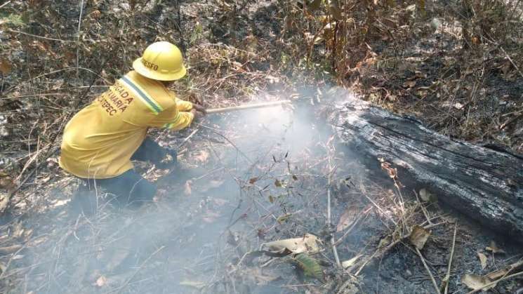 Reporta Coesfo control de incendio forestal en Putla de Guerrero 
