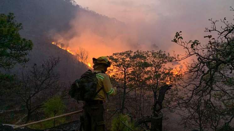 Atiende Coesfo 121 incendios durante 1er cuatrimestre de 2025