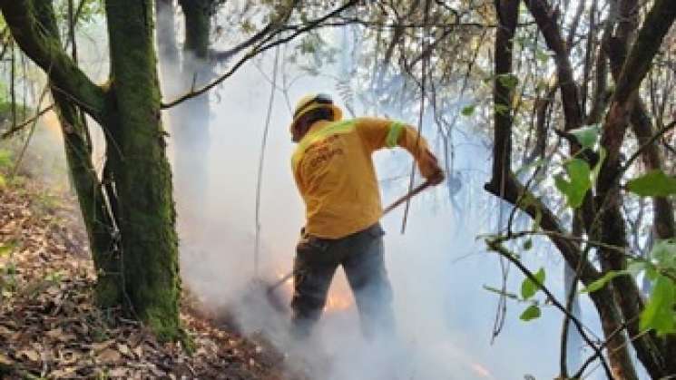 Reporta Coesfo control del 90% en incendio de Cuyamecalco