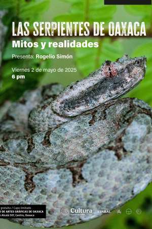 Las serpientes de Oaxaca, charla