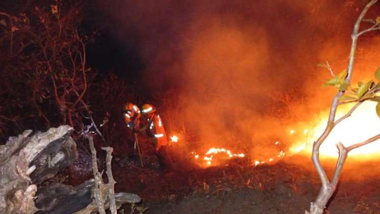Sigue incendio forestal entre San Juan Quiahije y Santa Catarina