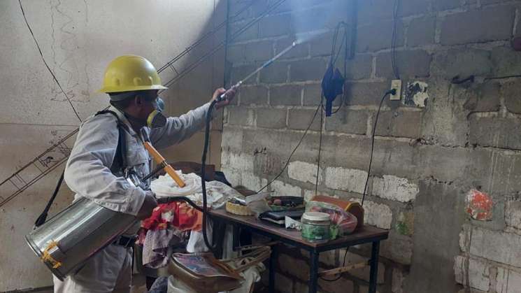 Registra Oaxaca 3 semanas sin casos nuevos de dengue 