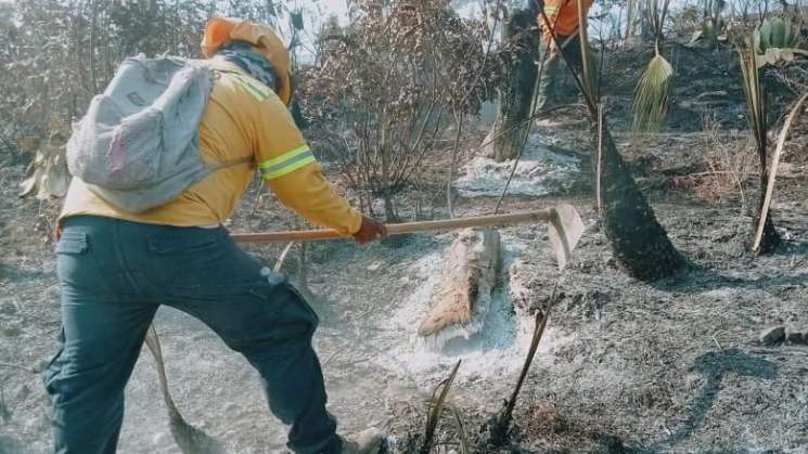 Atiende Coesfo incendio forestal en San Mateo Nejápam    