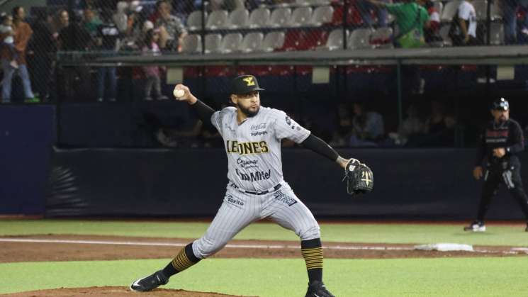 Zarpazo melenudo en el Vasconcelos 