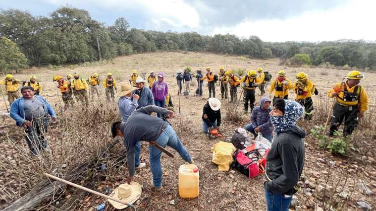 Reporta Coesfo 70% de control en incendio forestal de Tepelmeme 