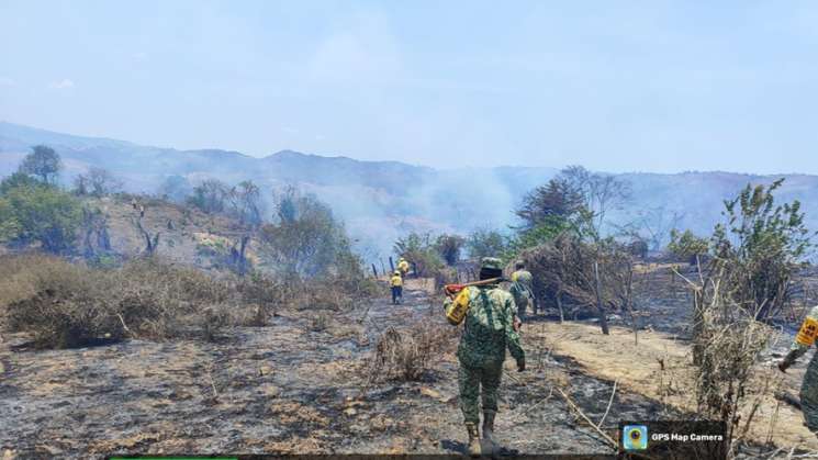 Atiende Coesfo incendio forestal en Santiago Pinotepa Nacional  