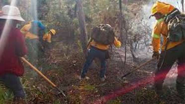 Extingue Coesfo incendios en Santa María Tonameca y Tilantongo