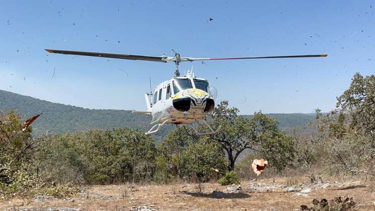 Se atiende complejo de incendios de Tepelmeme-Ixcatlán: Coesfo  