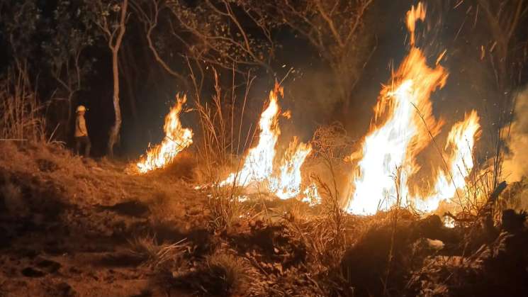 Controla Coesfo incendio forestal en Santa María Cortijo 