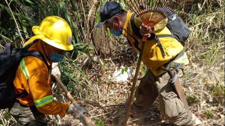 Controla Coesfo incendio forestal en San Juan Bautista Tuxtepec  