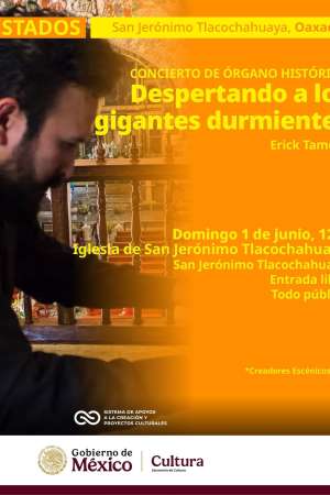 Concierto gratuito con el músico Erik Tamez
