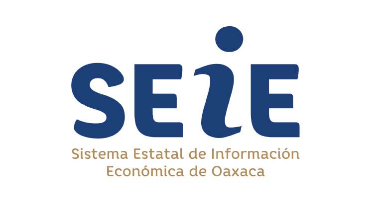 Conoce el Sistema Estatal de Información Económica - SEIE