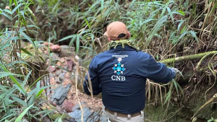 Búsqueda satelital y binomio canino para localizar bebé perdido