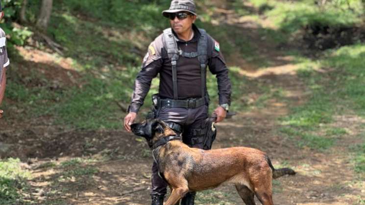 Se intensifica búsqueda de niño perdido en la sierra mixe