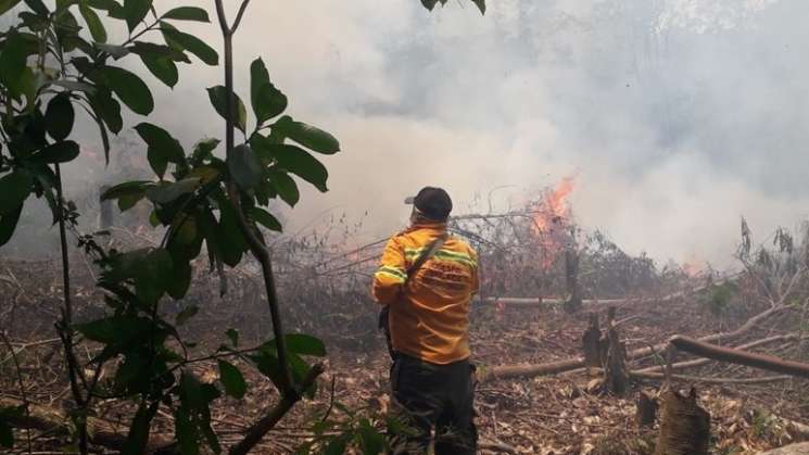 Refuerza Coesfo prevención de incendios en Santa Maria Chimalapas