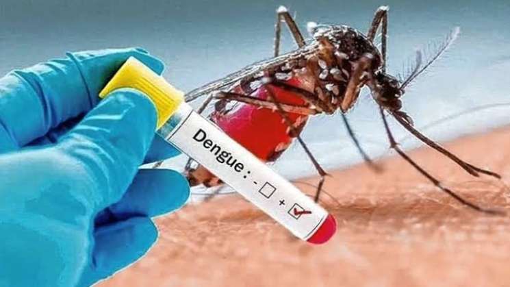 Registra SSO un caso de dengue en la Costa,van 27 acumulados